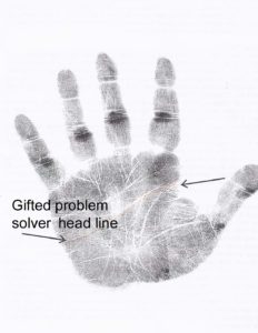 gifted problem solver palm reading